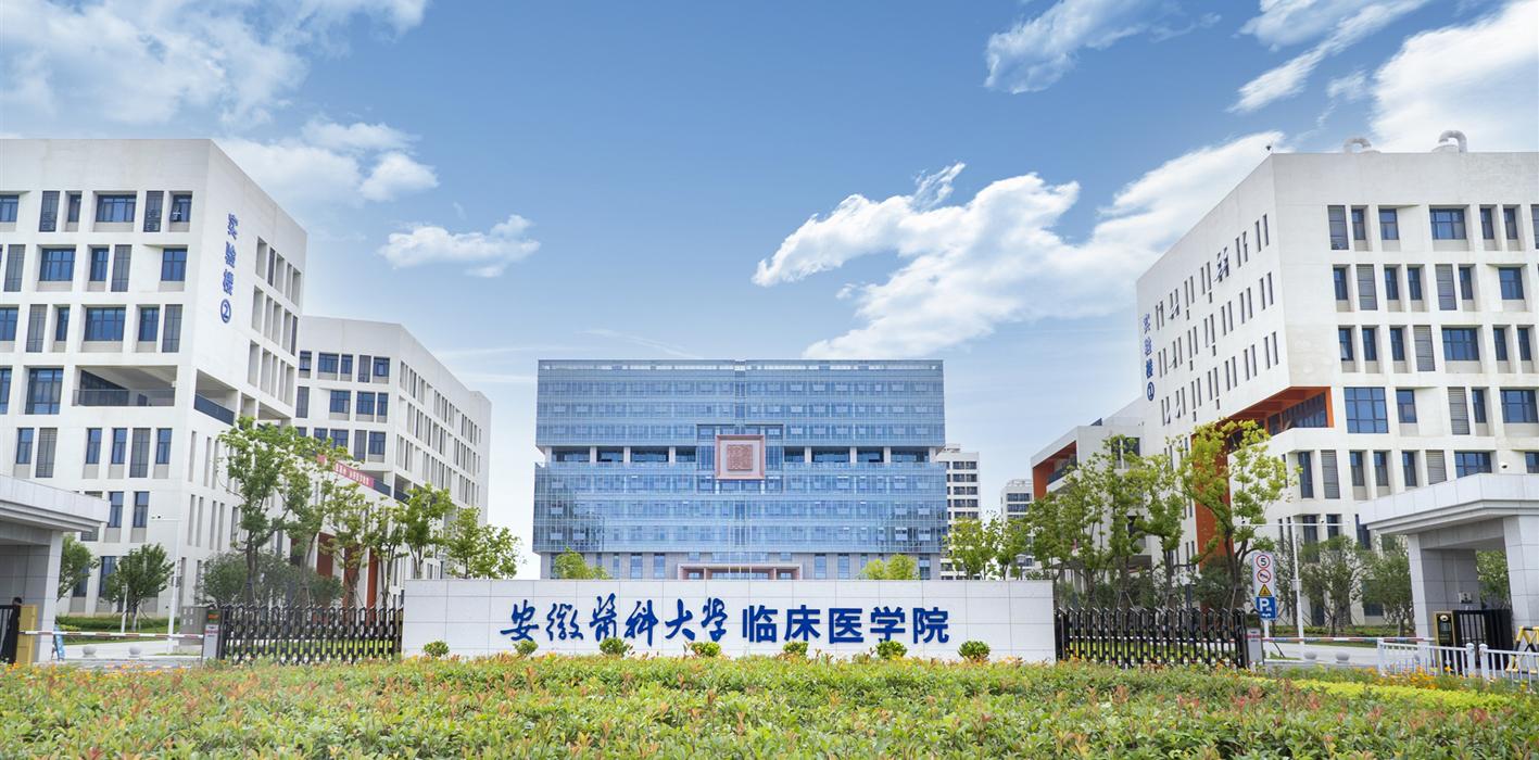 安徽醫(yī)科大學臨床醫(yī)學院師生在安徽省大學生紅色文化學習與創(chuàng)意設計成果邀請賽中榮獲一等獎